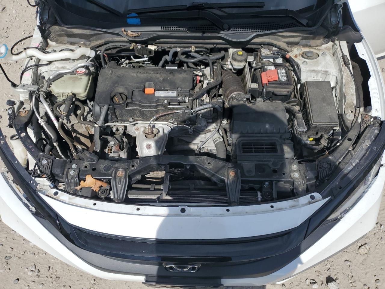 2019 Honda Civic Lx VIN: 2HGFC2F64KH557650 Lot: 80548015