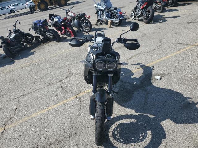 2023 DUCATI DESERT X   