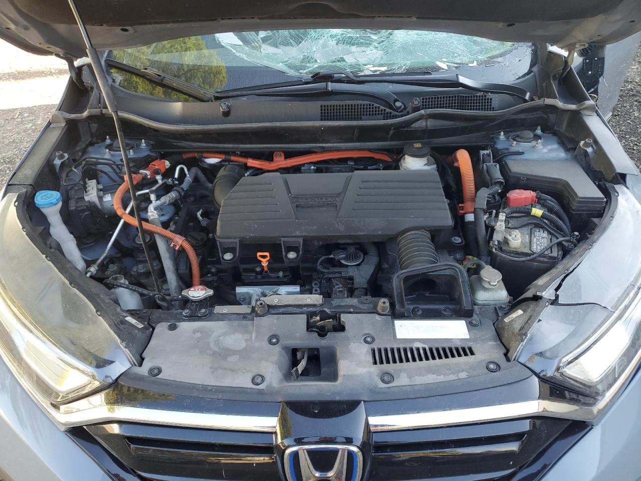 2022 Honda Cr-V Exl VIN: 5J6RT6H89NL020291 Lot: 81372185