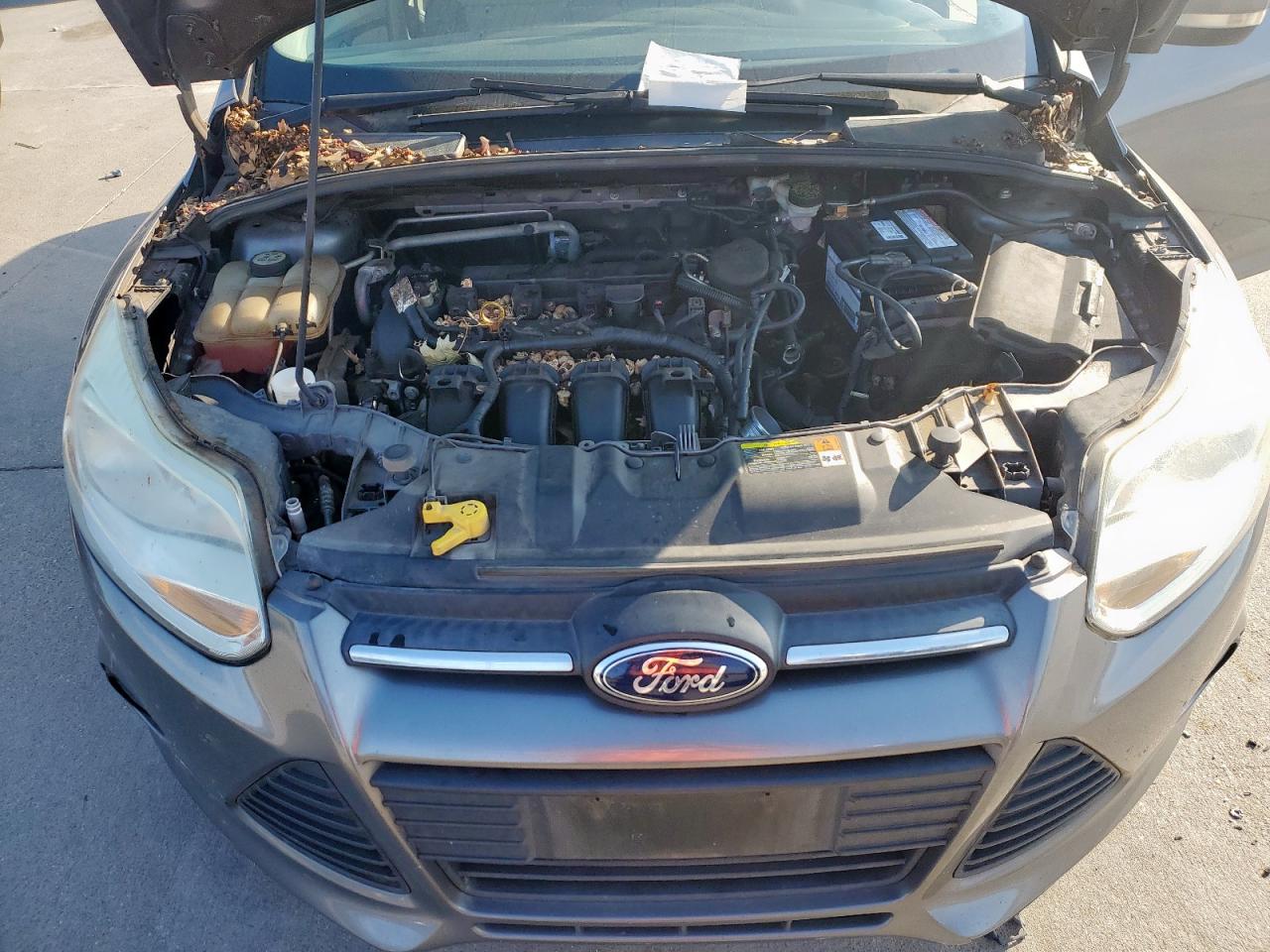 2013 Ford Focus Se VIN: 1FADP3F29DL106951 Lot: 81336455