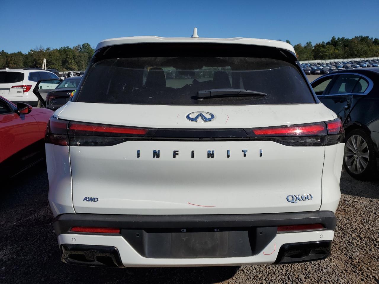 2024 Infiniti Qx60 Pure VIN: 5N1DL1ES0RC331483 Lot: 70923585