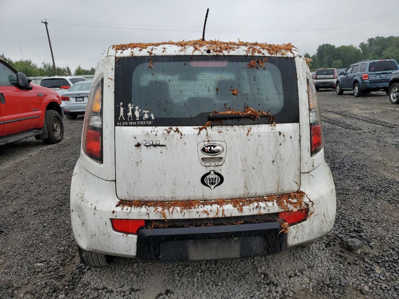 2010 Kia Soul VIN: KNDJT2A19A7137509 Lot: 71700495