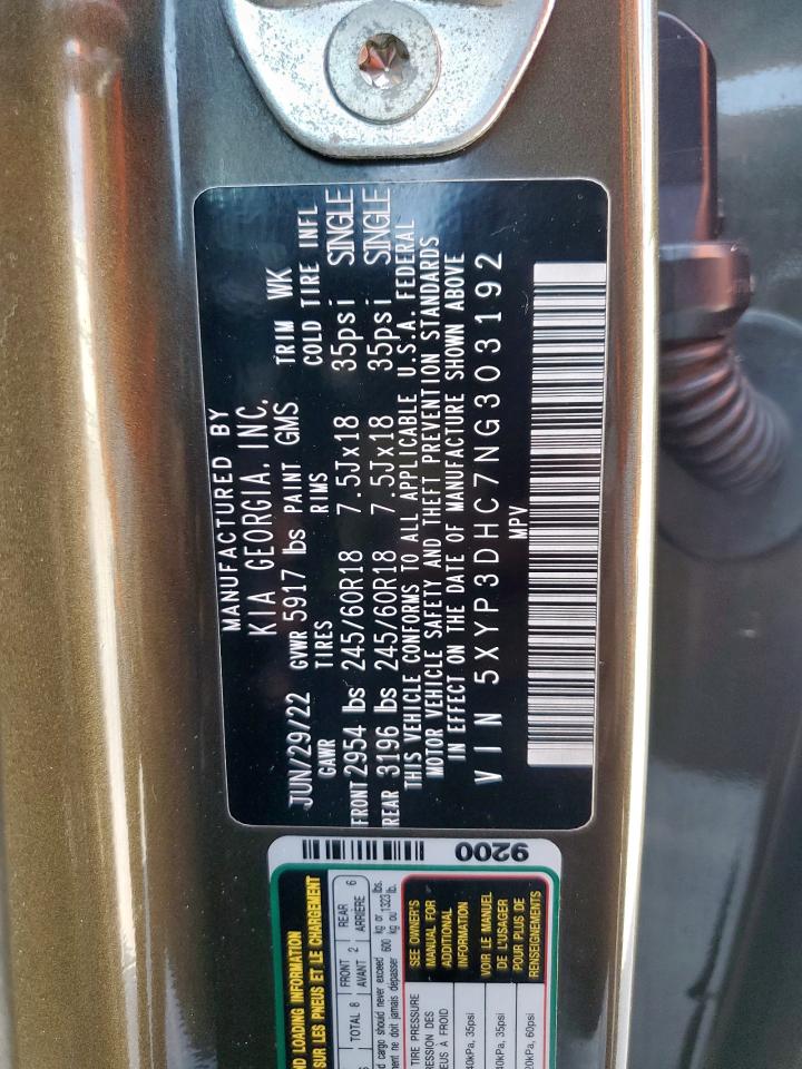 2022 Kia Telluride Ex VIN: 5XYP3DHC7NG303192 Lot: 80294775