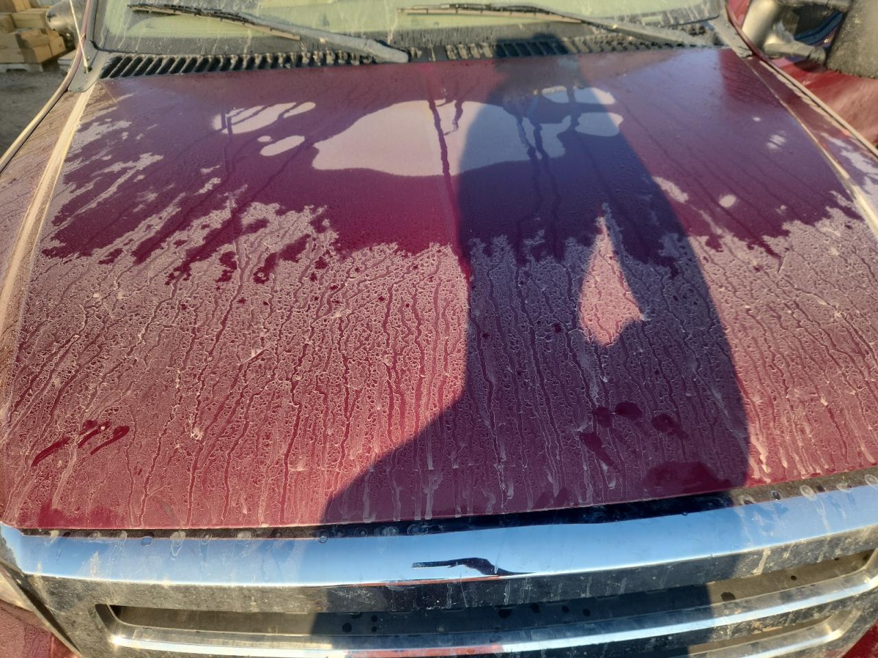 2005 Ford F350 Srw Super Duty VIN: 1FTWW31P05EA95000 Lot: 81824345