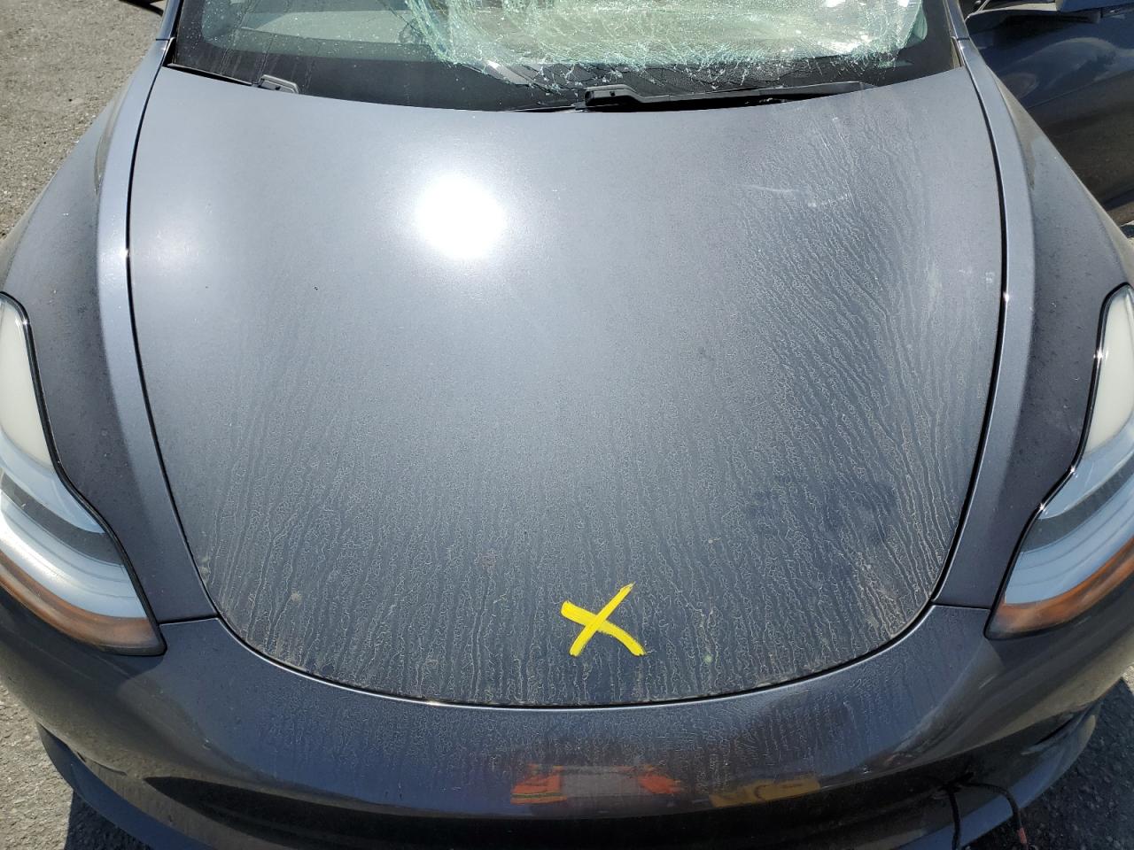 2020 Tesla Model 3 VIN: 5YJ3E1EC1LF646953 Lot: 80742245