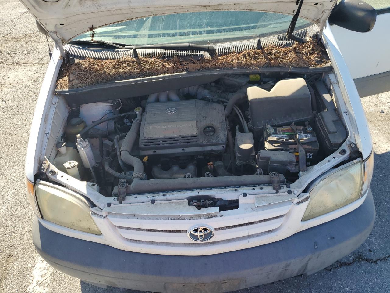 2002 Toyota Sienna Le VIN: 4T3ZF13C62U501619 Lot: 81787275