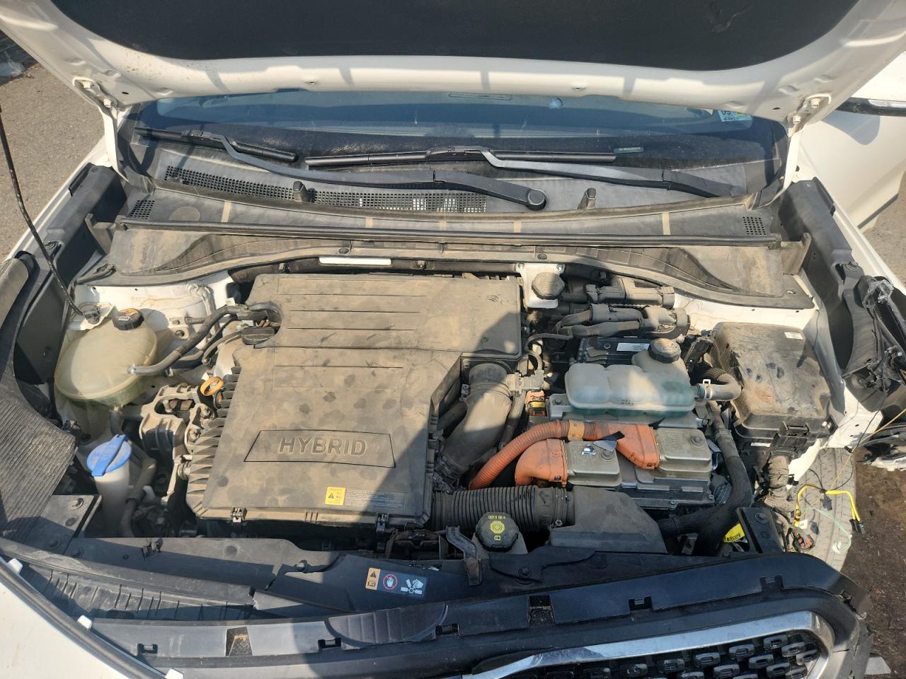 2019 Kia Niro Ex VIN: KNDCC3LC9K5356528 Lot: 81377715