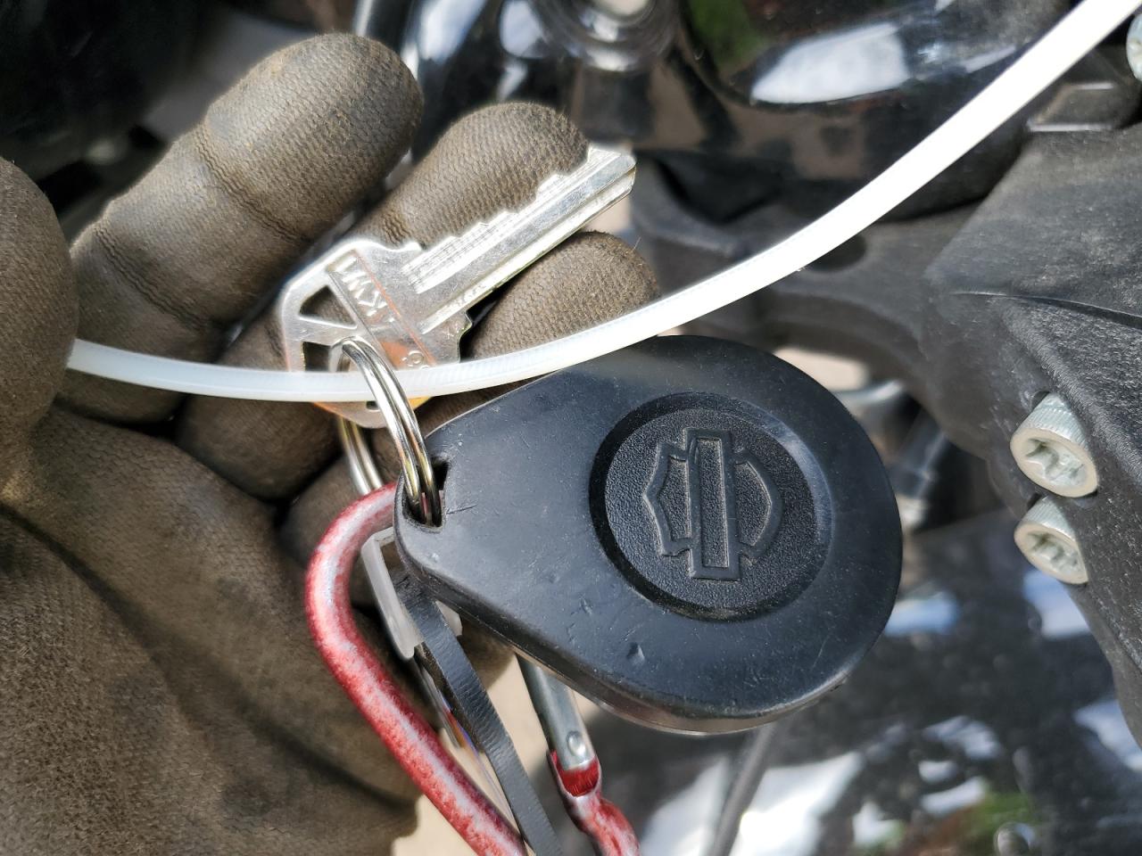 2021 Harley-Davidson Fxlrs VIN: 1HD1YWK1XMB050242 Lot: 81691185