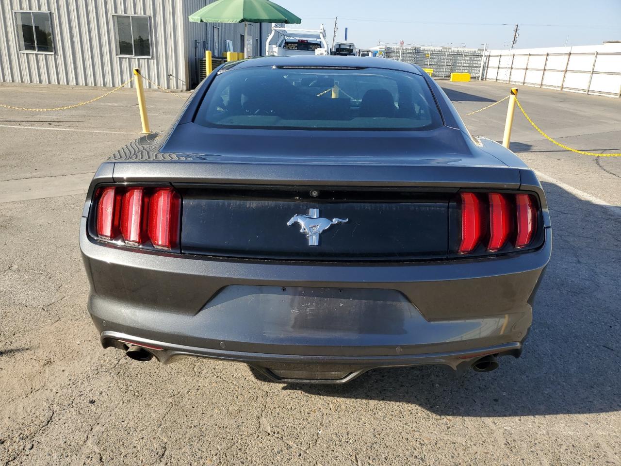 2017 Ford Mustang VIN: 1FA6P8AM9H5241145 Lot: 81768145