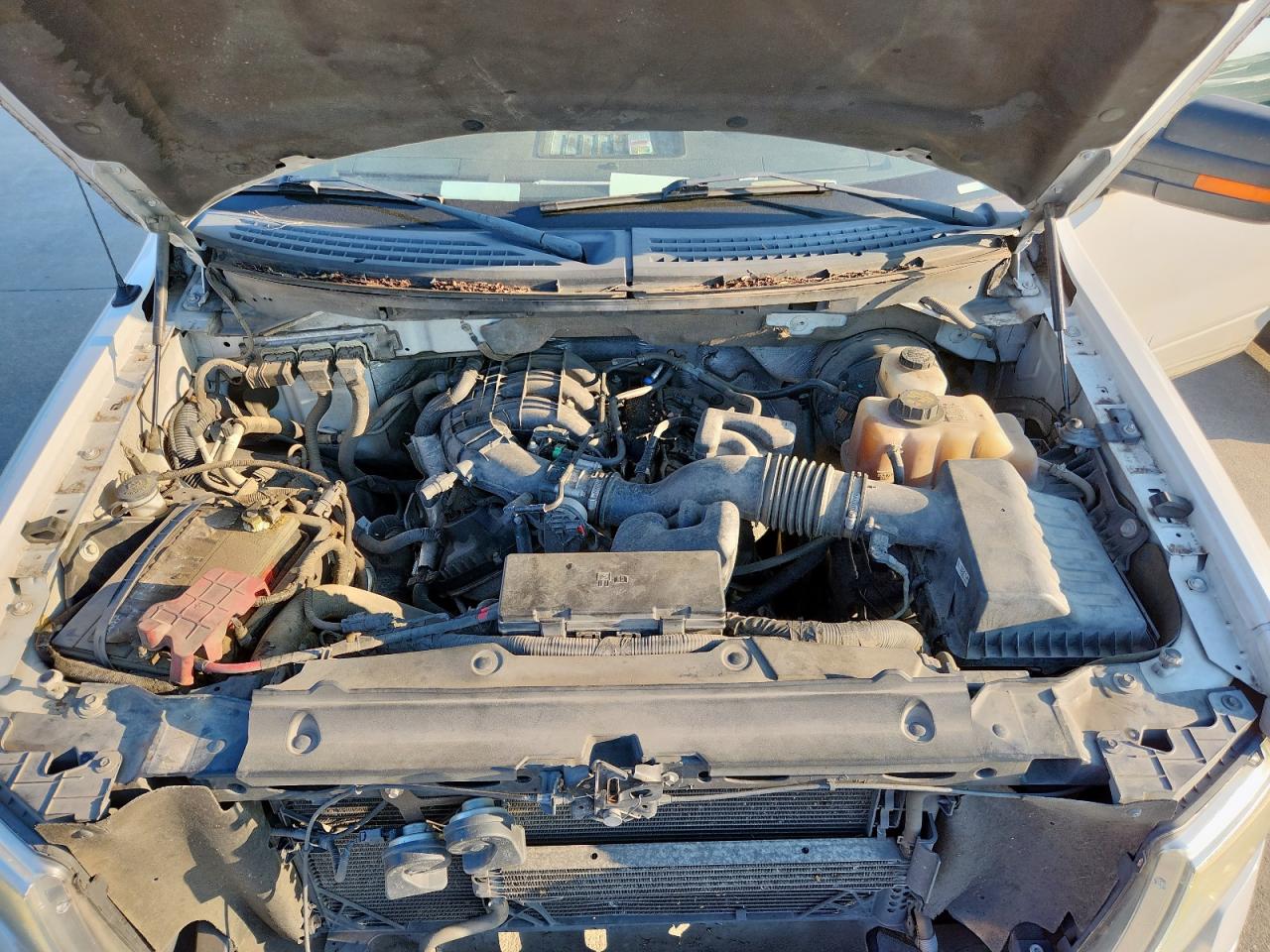 2012 Ford F150 Super Cab VIN: 1FTEX1CMXCKD13605 Lot: 80750485