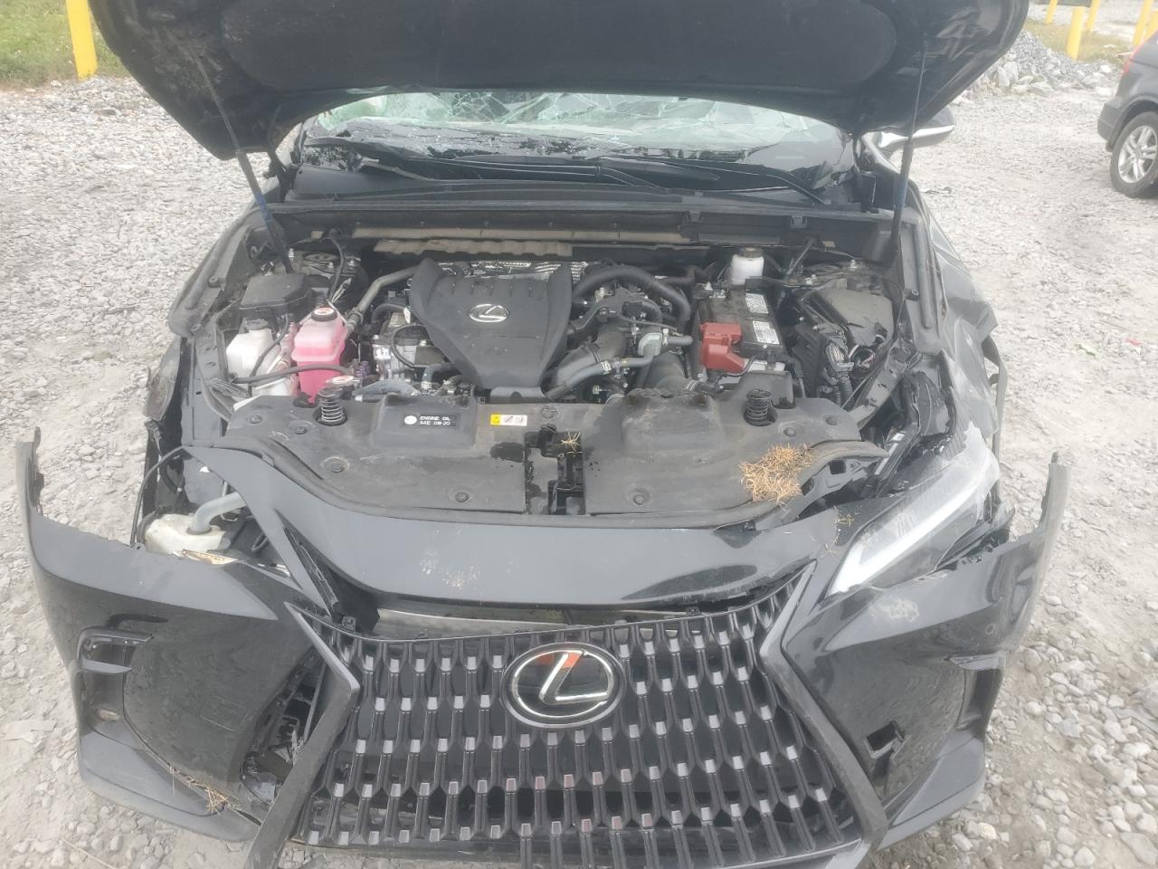 2023 Lexus Nx 350 VIN: 2T2GGCEZ3PC031175 Lot: 84429995