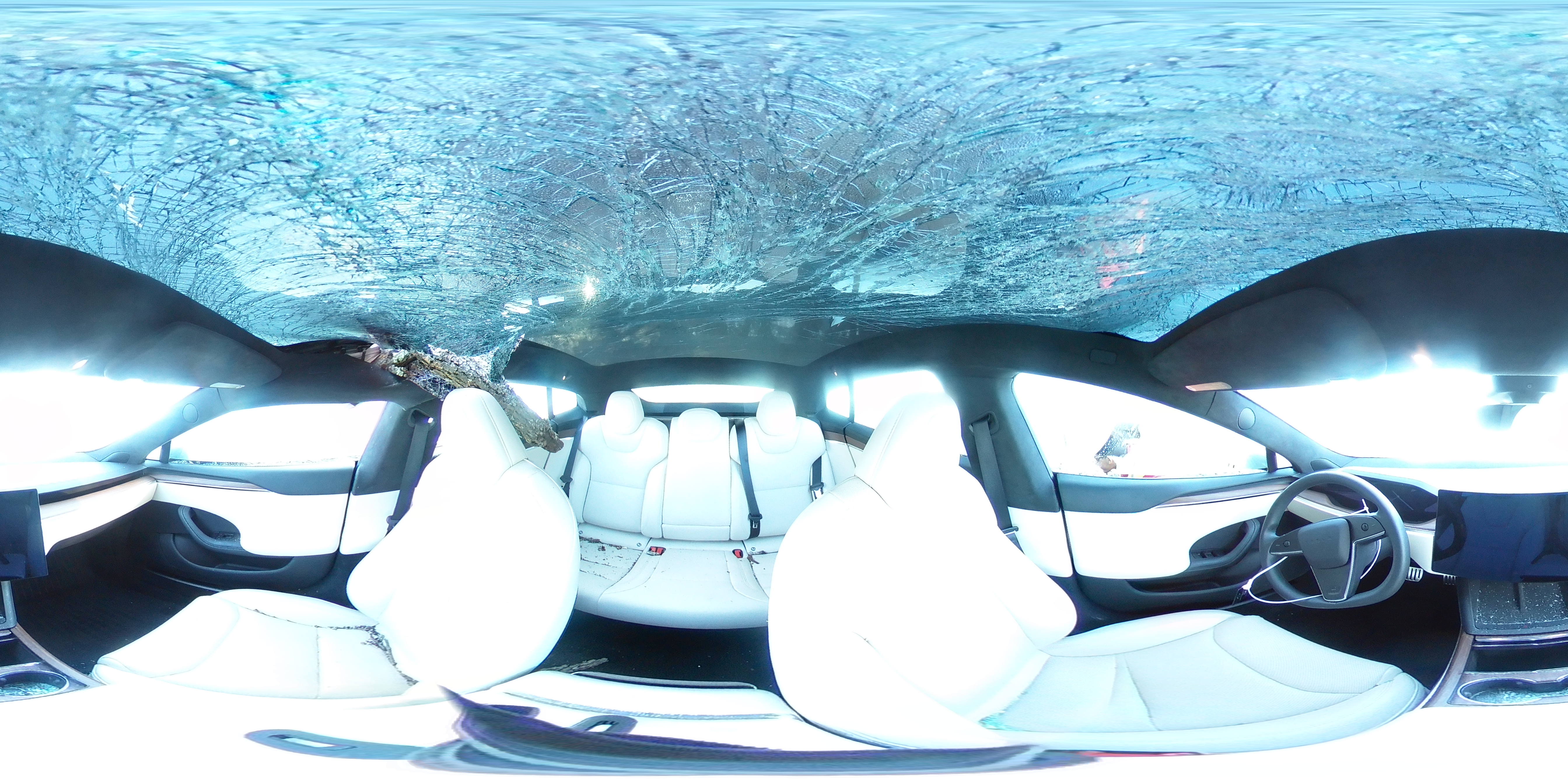 2024 Tesla Model S VIN: 5YJSA1E55RF538627 Lot: 80562345