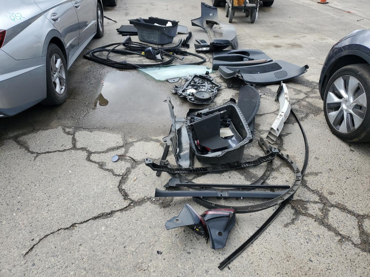 2023 Tesla Model Y VIN: 7SAYGDEE1PF910670 Lot: 81684615