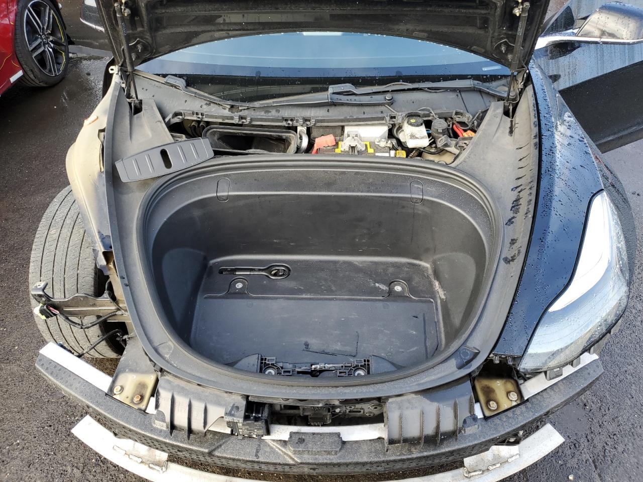 2019 Tesla Model 3 VIN: 5YJ3E1EA9KF396021 Lot: 81052715