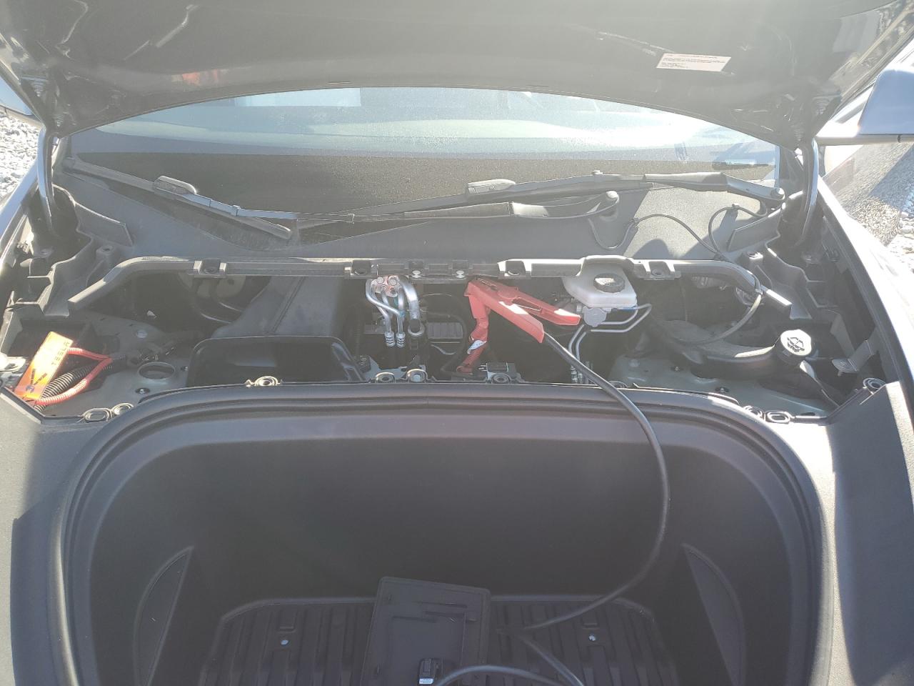 2023 Tesla Model Y VIN: 7SAYGDEE3PA166793 Lot: 81805425