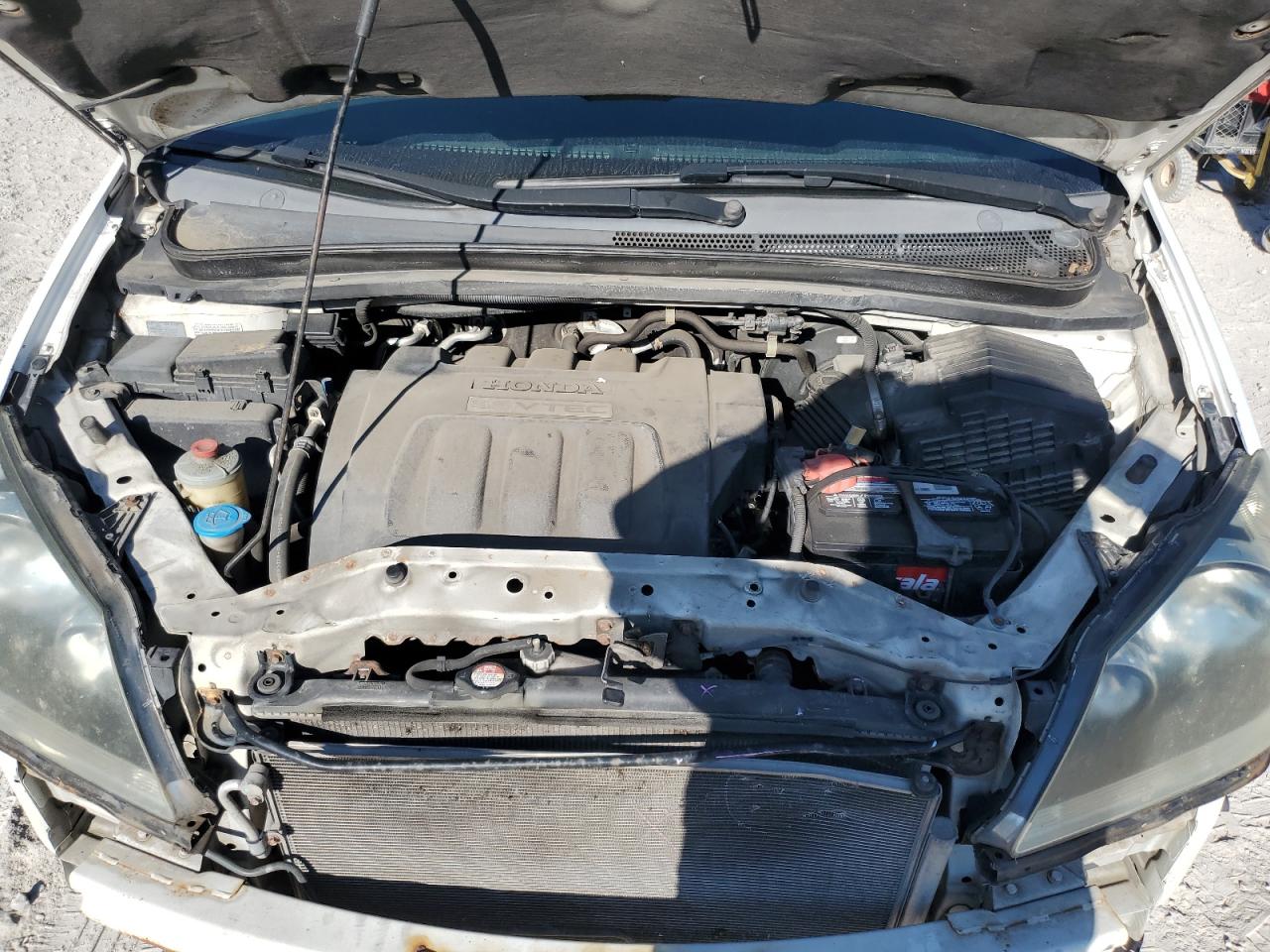 2007 Honda Odyssey Ex VIN: 5FNRL38467B141481 Lot: 81565915