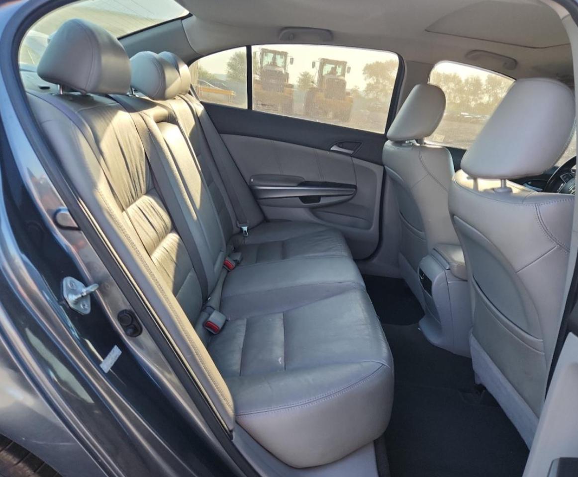 2010 Honda Accord Exl VIN: 1HGCP3F84AA028744 Lot: 81836945