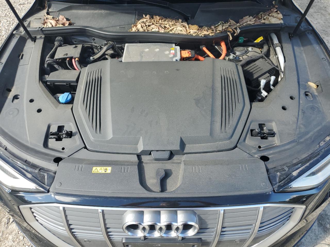 2019 Audi E-Tron Premium Plus VIN: WA1LAAGE0KB023197 Lot: 83927275