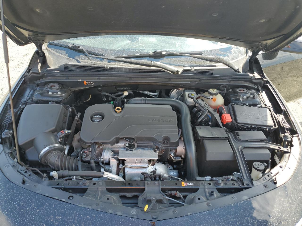 2019 Chevrolet Malibu Lt VIN: 1G1ZD5ST1KF109916 Lot: 71057675