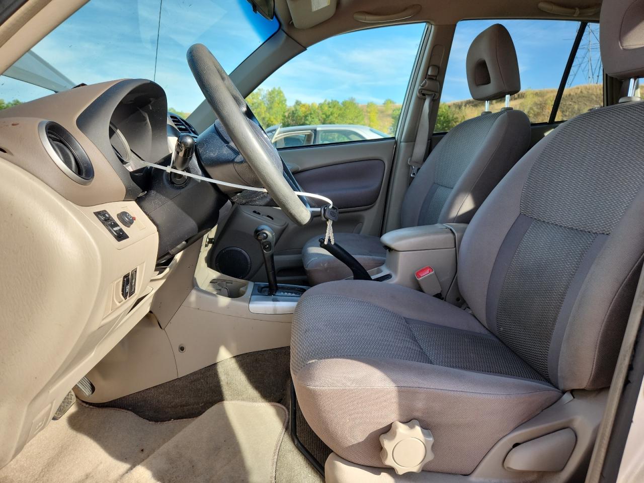 2004 Toyota Rav4 VIN: JTEGD20V740036733 Lot: 81698975