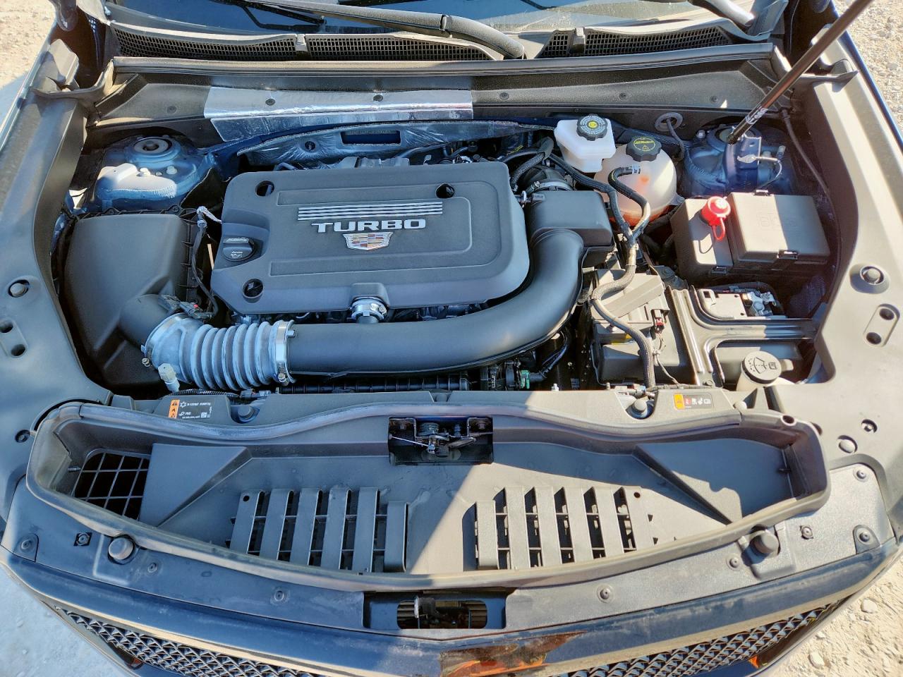 2025 Cadillac Xt4 Sport VIN: 1GYFZER41SF145626 Lot: 71183235