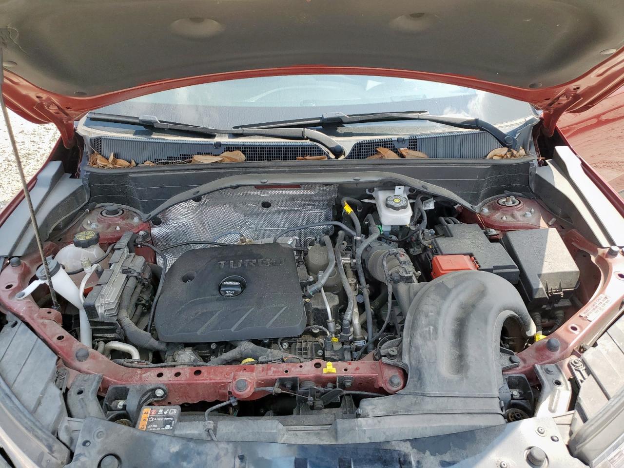 2023 Chevrolet Trailblazer Rs VIN: KL79MTSL8PB183549 Lot: 81322465