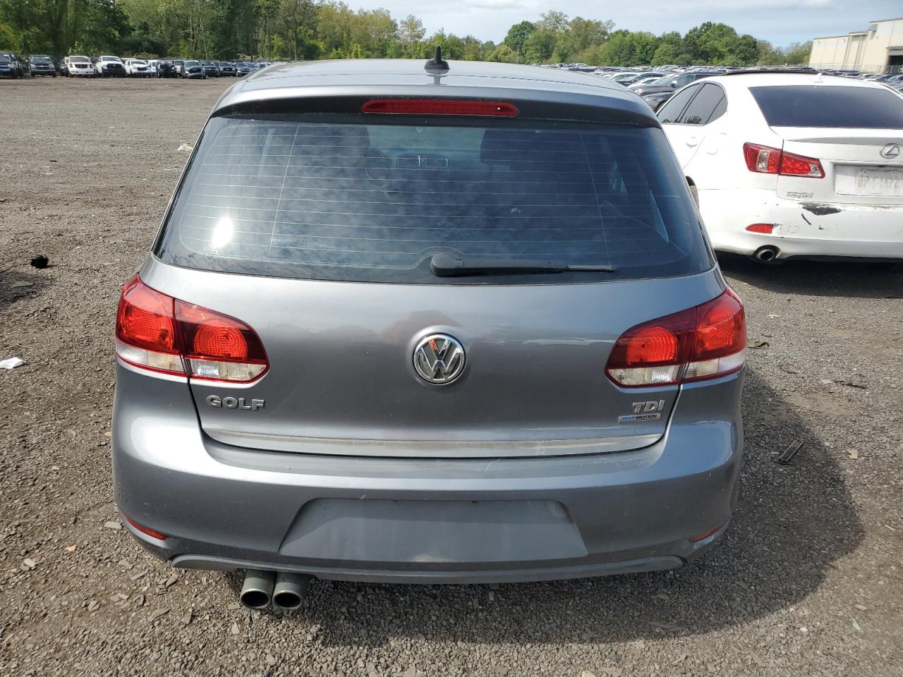 2011 Volkswagen Golf VIN: WVWDM7AJ7BW325119 Lot: 69226165