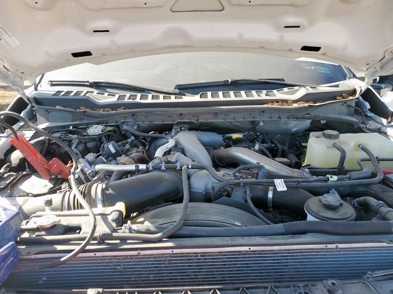 2024 Ford F450 Super Duty VIN: 1FT8W4DT5REC01292 Lot: 69298605