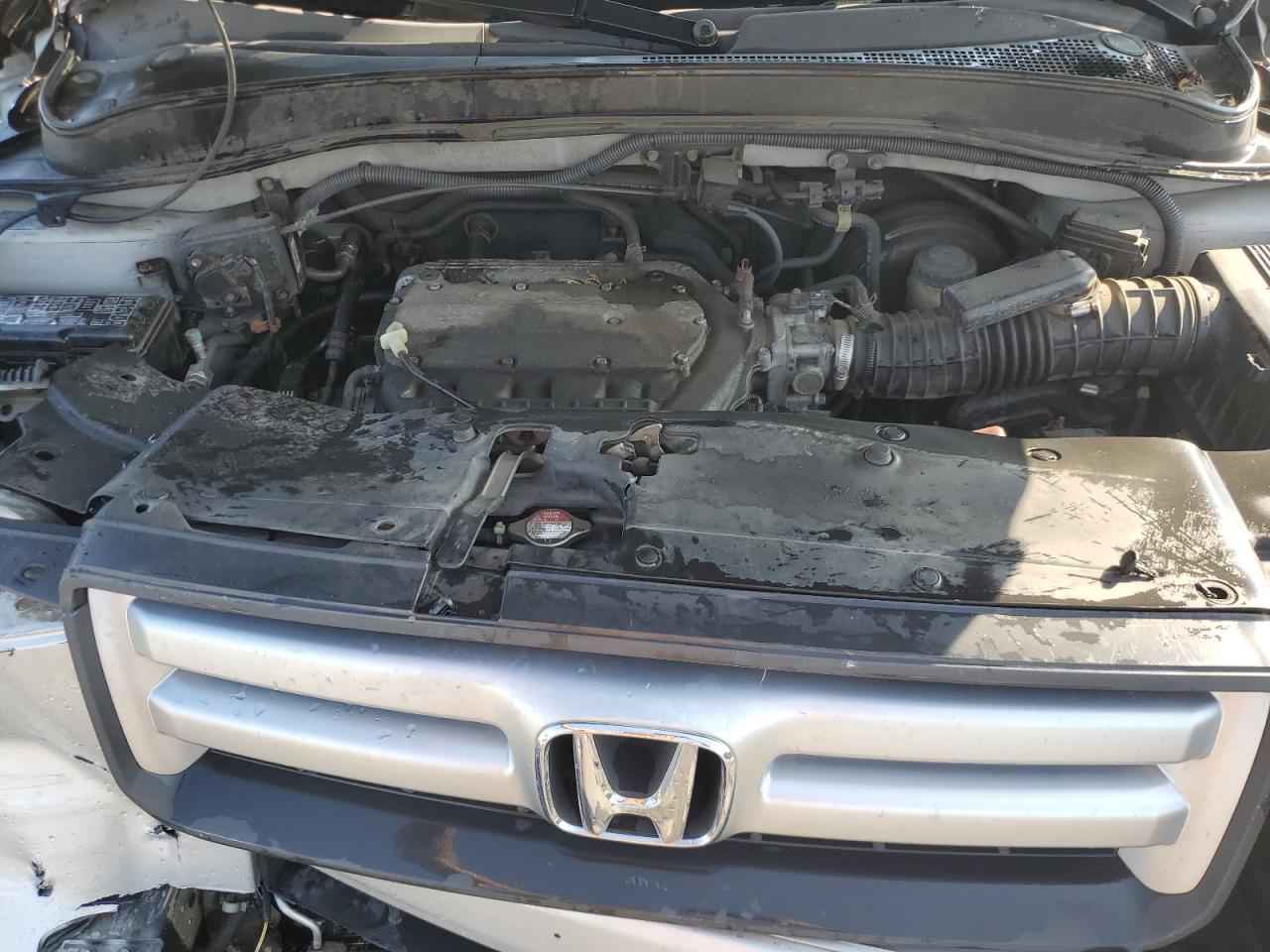 2007 Honda Pilot Exl VIN: 5FNYF186X7B012653 Lot: 71623585