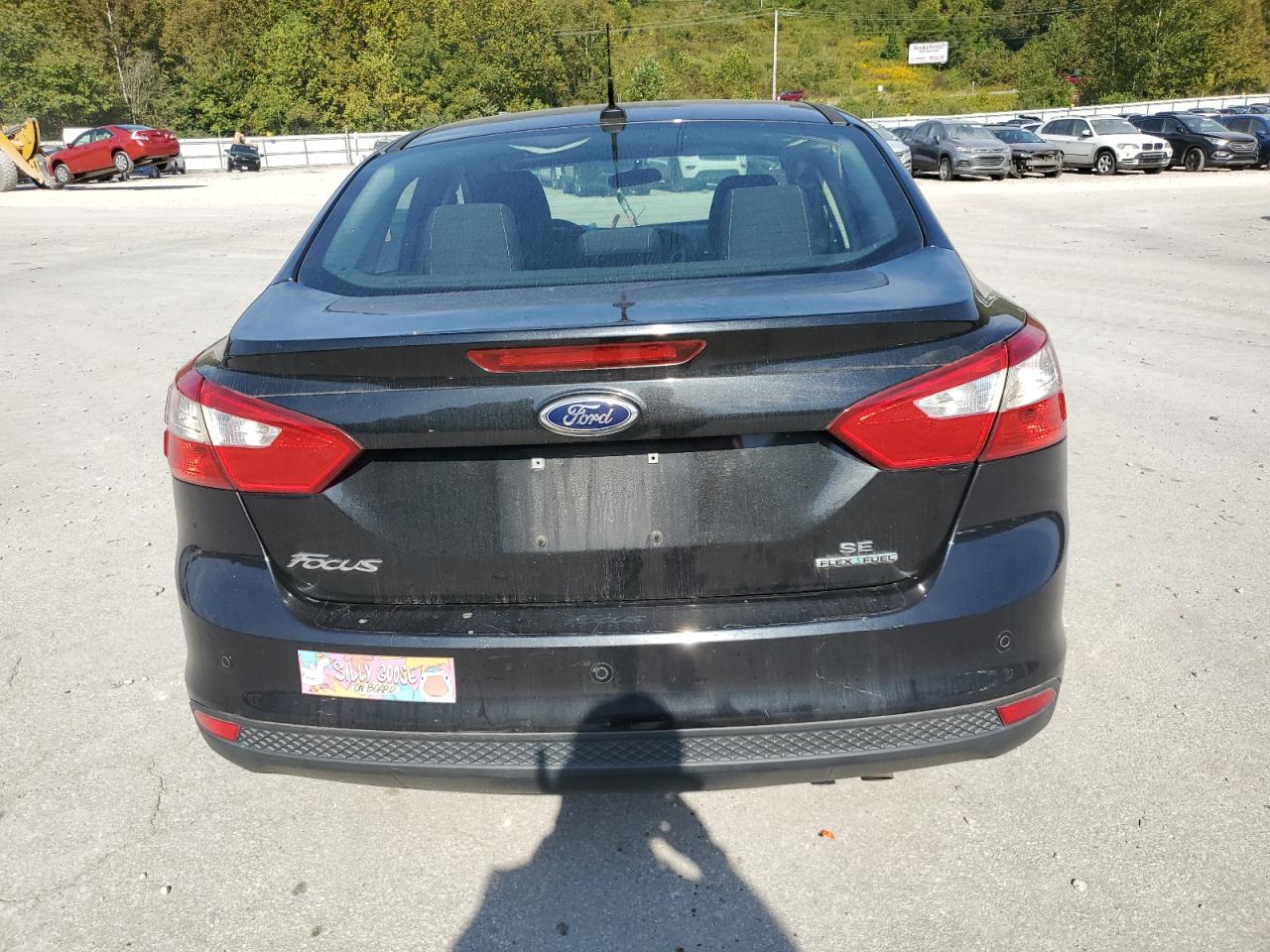 2014 Ford Focus Se VIN: 1FADP3F21EL244807 Lot: 80653845
