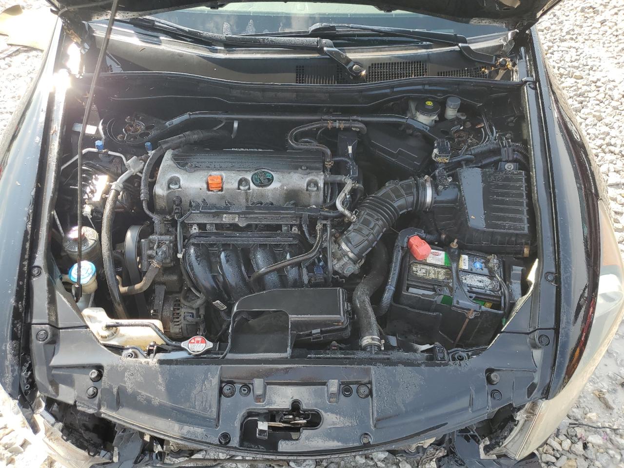 2010 Honda Accord Ex VIN: 1HGCP2E76AA085028 Lot: 81228115