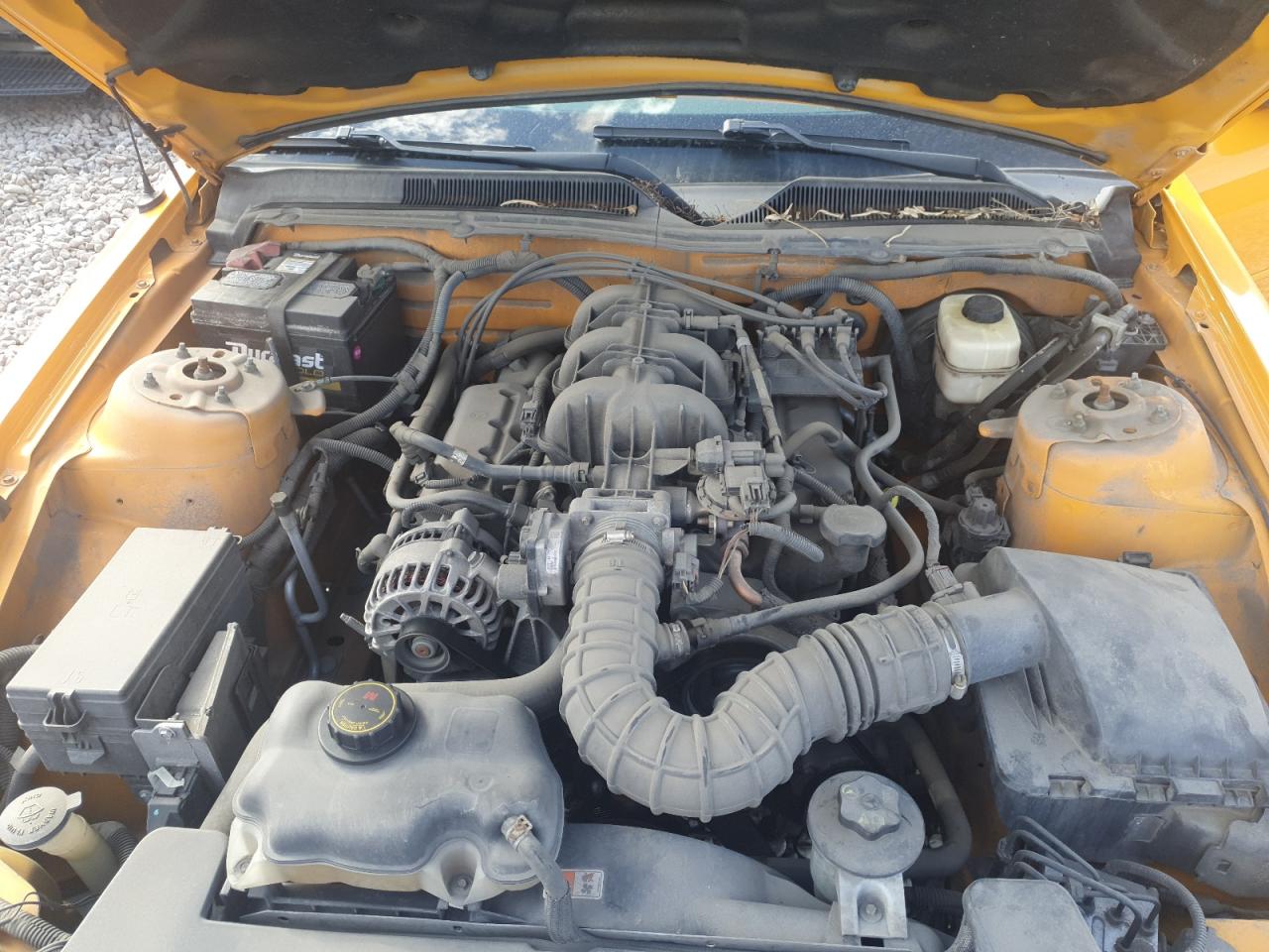 2007 Ford Mustang VIN: 1ZVFT84N275353369 Lot: 81880645