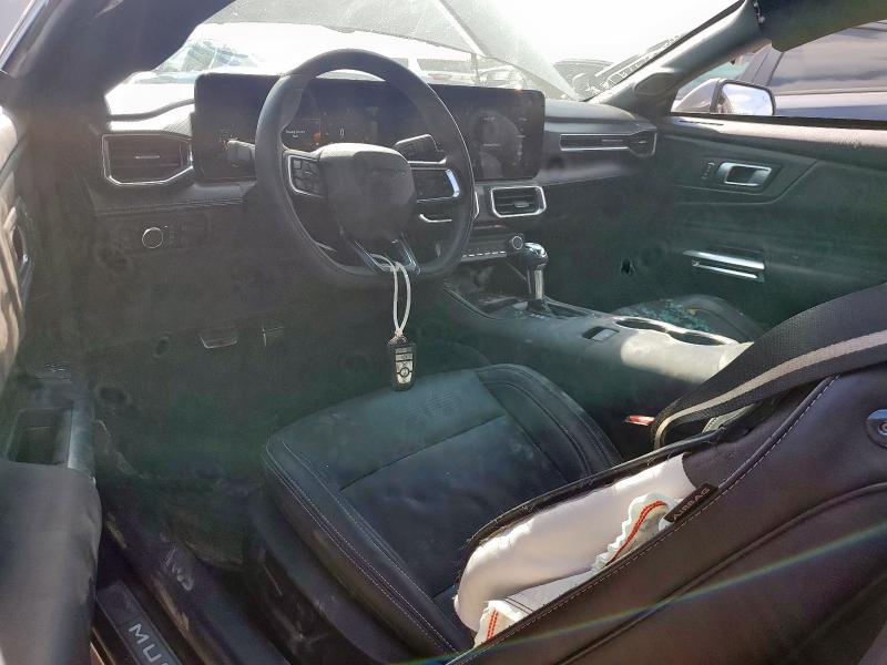  FORD ALL Models 2024 Серый