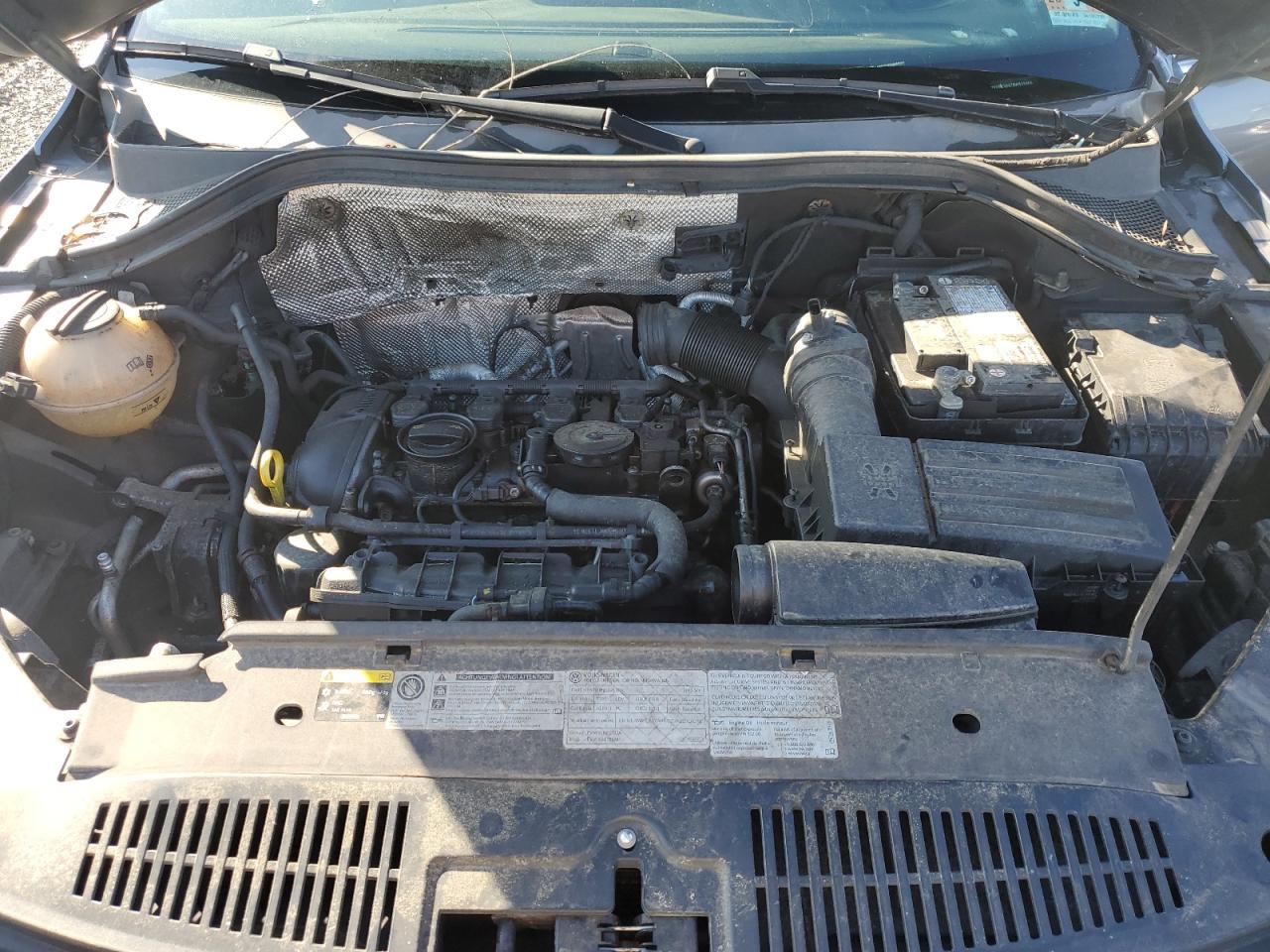 2014 Volkswagen Tiguan S VIN: WVGBV3AX7EW518968 Lot: 81454925