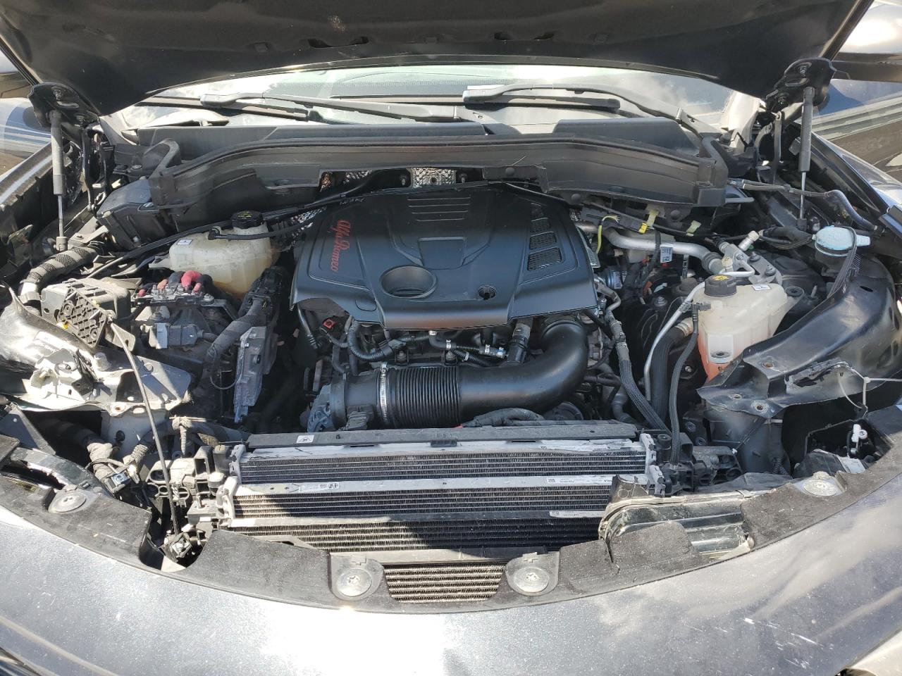 2019 Alfa Romeo Stelvio VIN: ZASPAJAN6K7C71061 Lot: 71435985