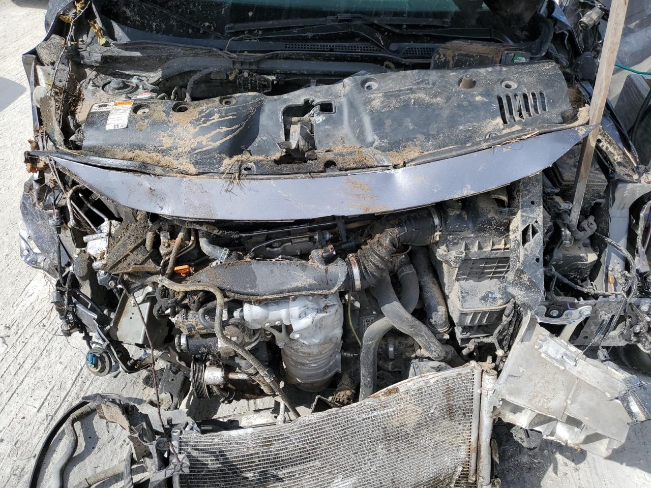 2020 Honda Civic Exl VIN: 19XFC1F71LE010706 Lot: 81026065