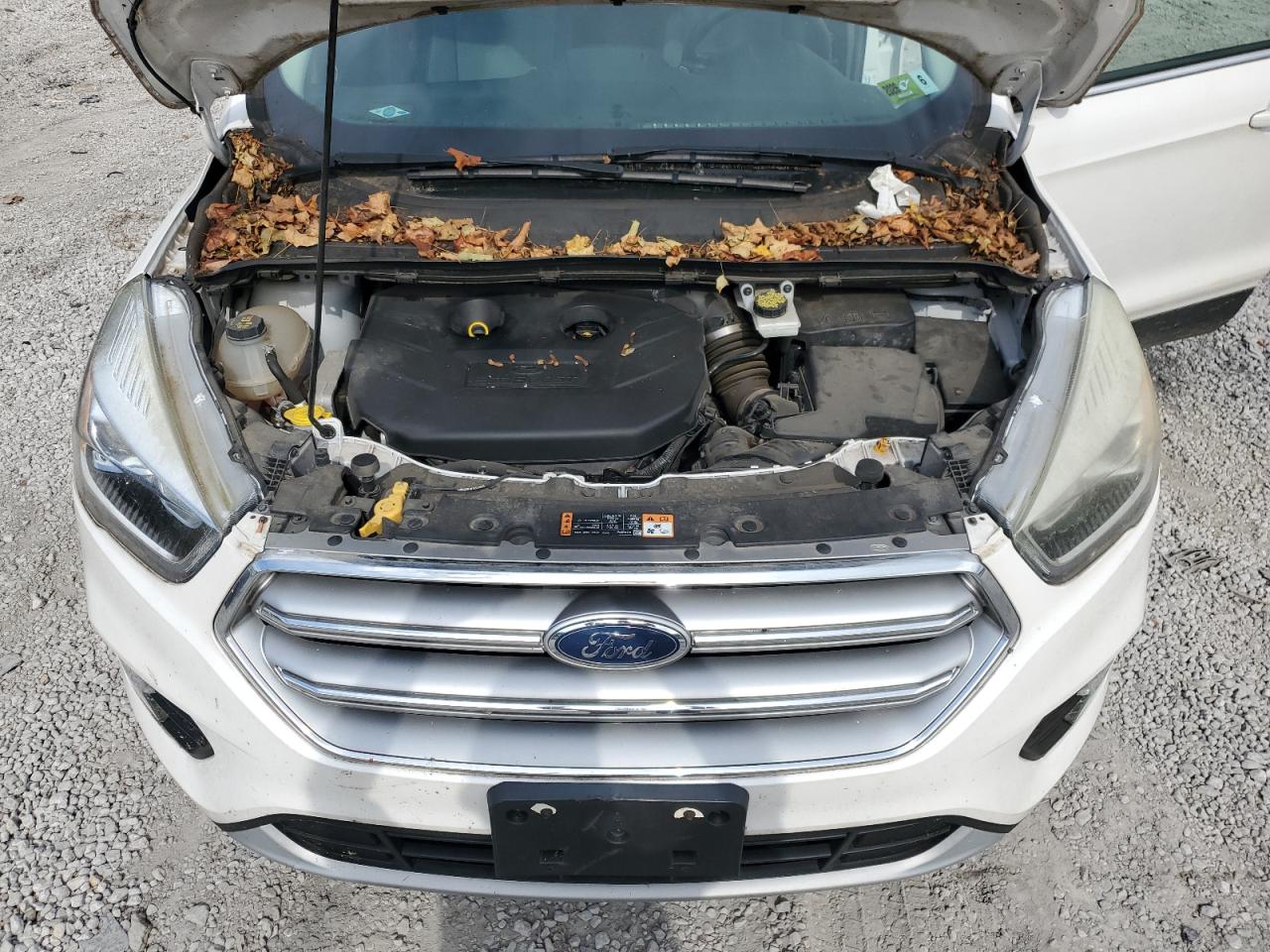 2017 Ford Escape Se VIN: 1FMCU9G92HUE04878 Lot: 84209775