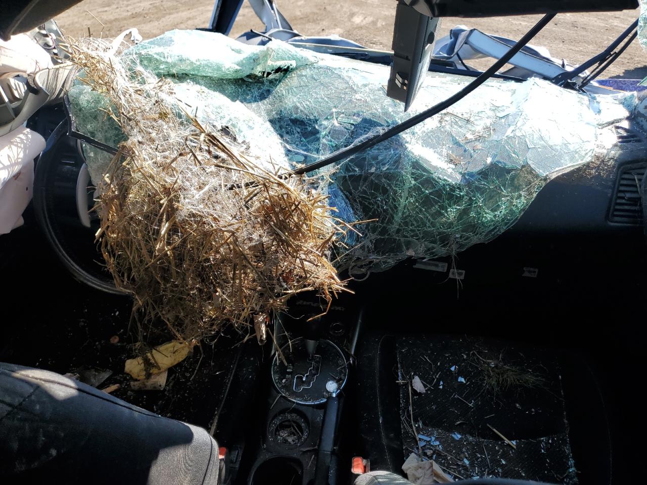 2014 Mitsubishi Outlander Sport Se VIN: 4A4AP4AU8EE025479 Lot: 81733755