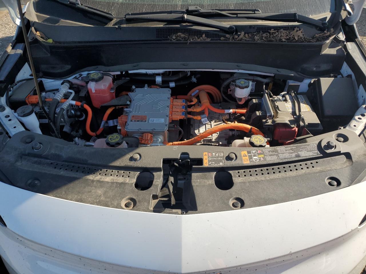 2023 Chevrolet Bolt Euv Lt VIN: 1G1FY6S07P4119436 Lot: 71669905