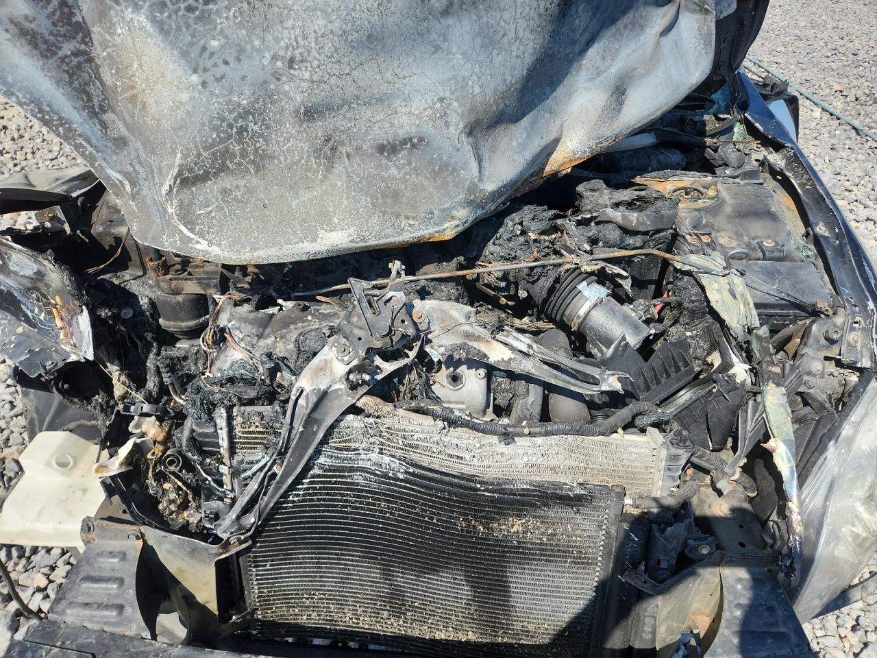 2007 Ford Fusion Se VIN: 3FAHP07197R194329 Lot: 80123375