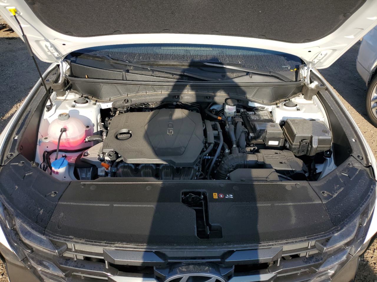 2025 Hyundai Tucson Sel VIN: 3KMJC3DE6SE009263 Lot: 80622765