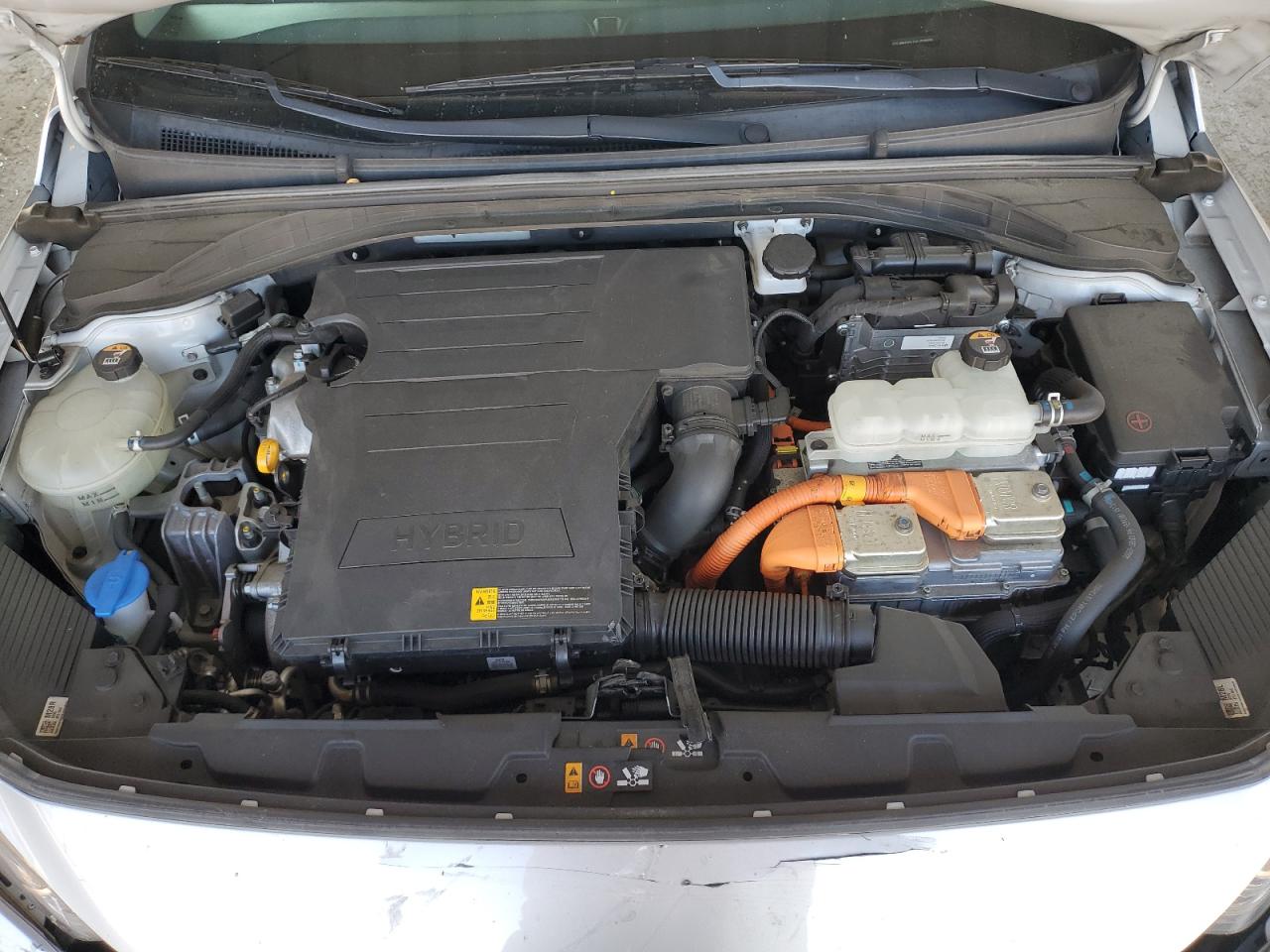 2020 Hyundai Ioniq Blue VIN: KMHC65LCXLU228000 Lot: 71322385