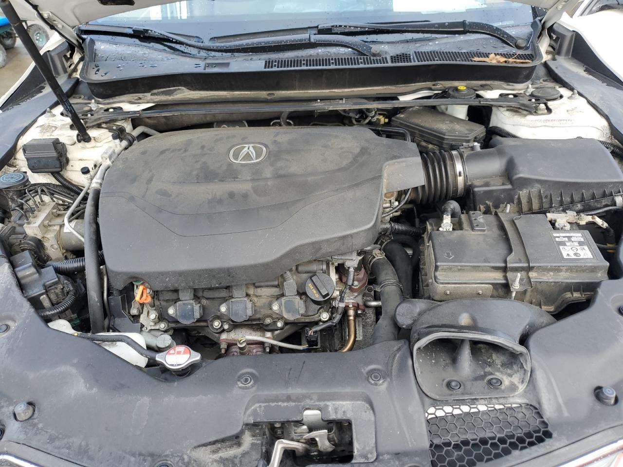 2016 Acura Tlx Tech VIN: 19UUB3F53GA002217 Lot: 81633905