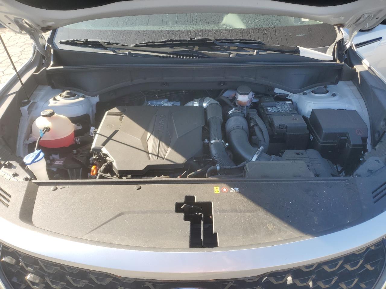 2021 Kia Sorento Sx VIN: 5XYRKDLF0MG049885 Lot: 81558935