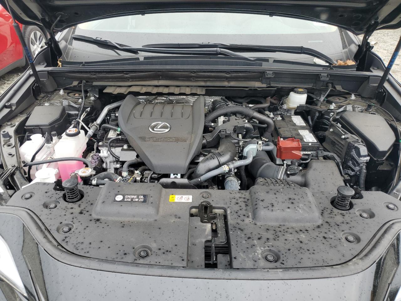 2025 Lexus Nx 350 Premium VIN: 2T2GGCEZ4SC065084 Lot: 80271295