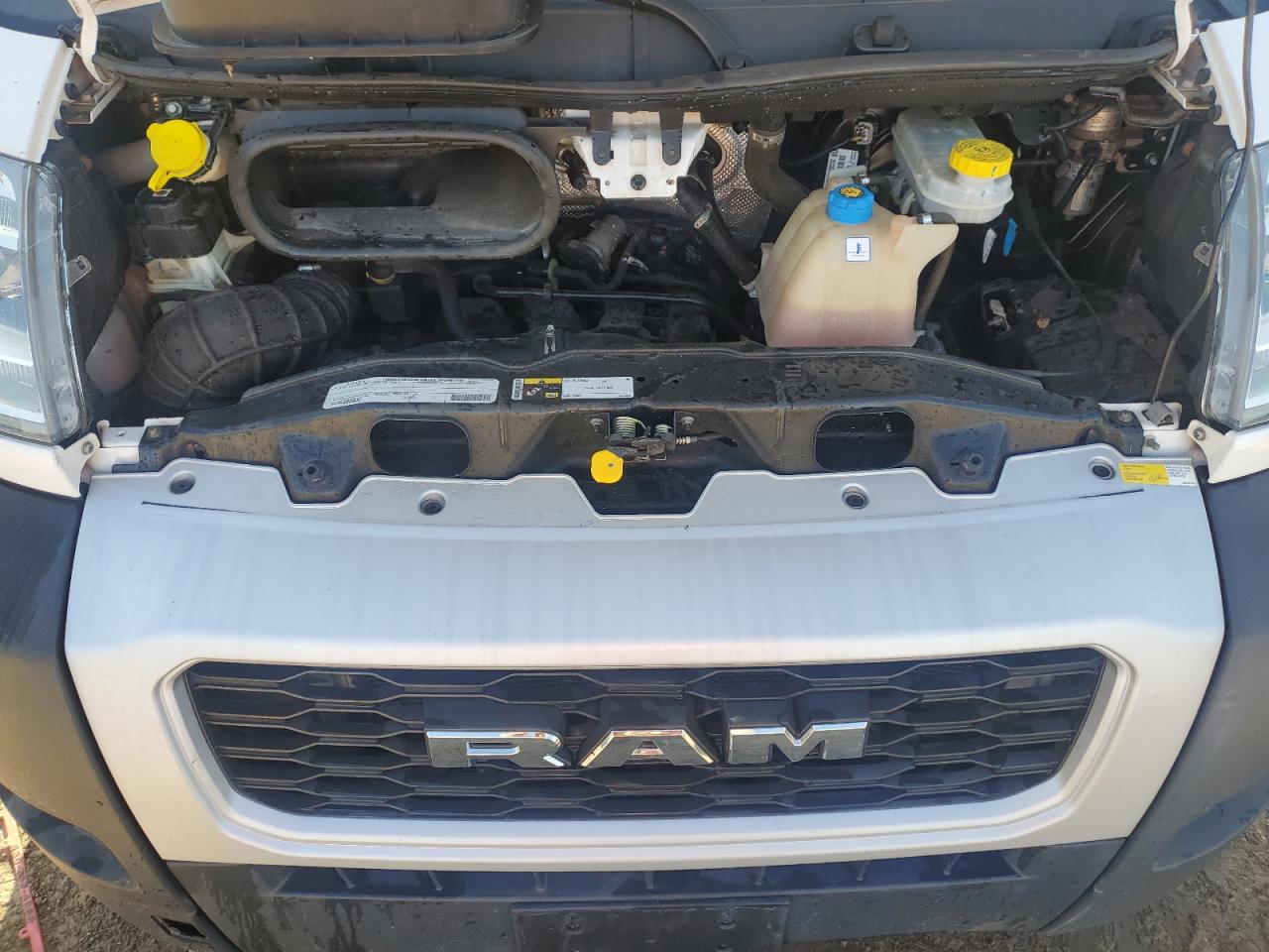 2019 Ram Promaster 1500 1500 Standard VIN: 3C6TRVAGXKE509056 Lot: 80344135