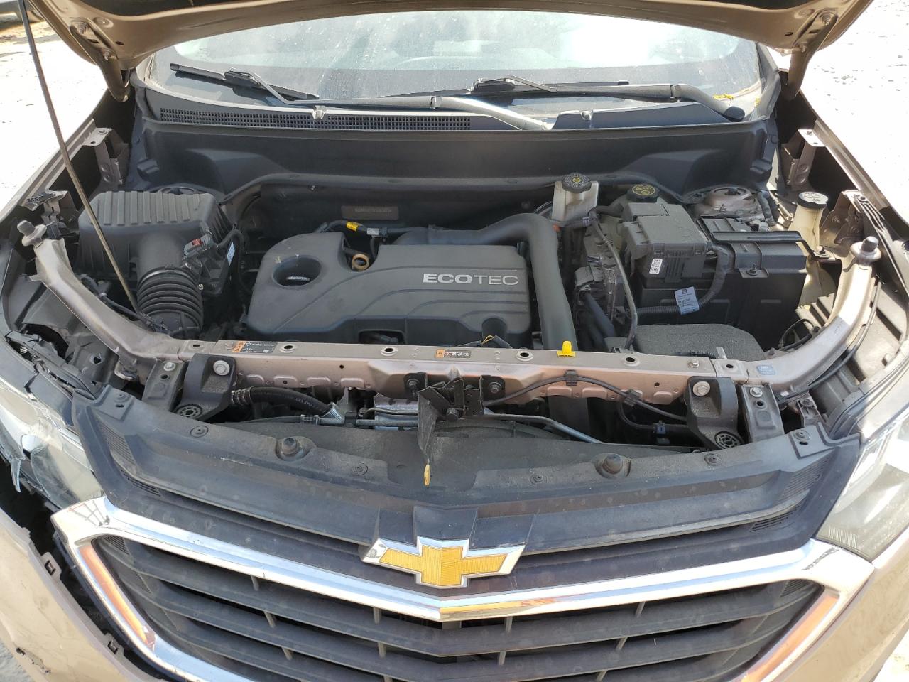 2019 Chevrolet Equinox Lt VIN: 2GNAXJEV8K6263073 Lot: 81386645