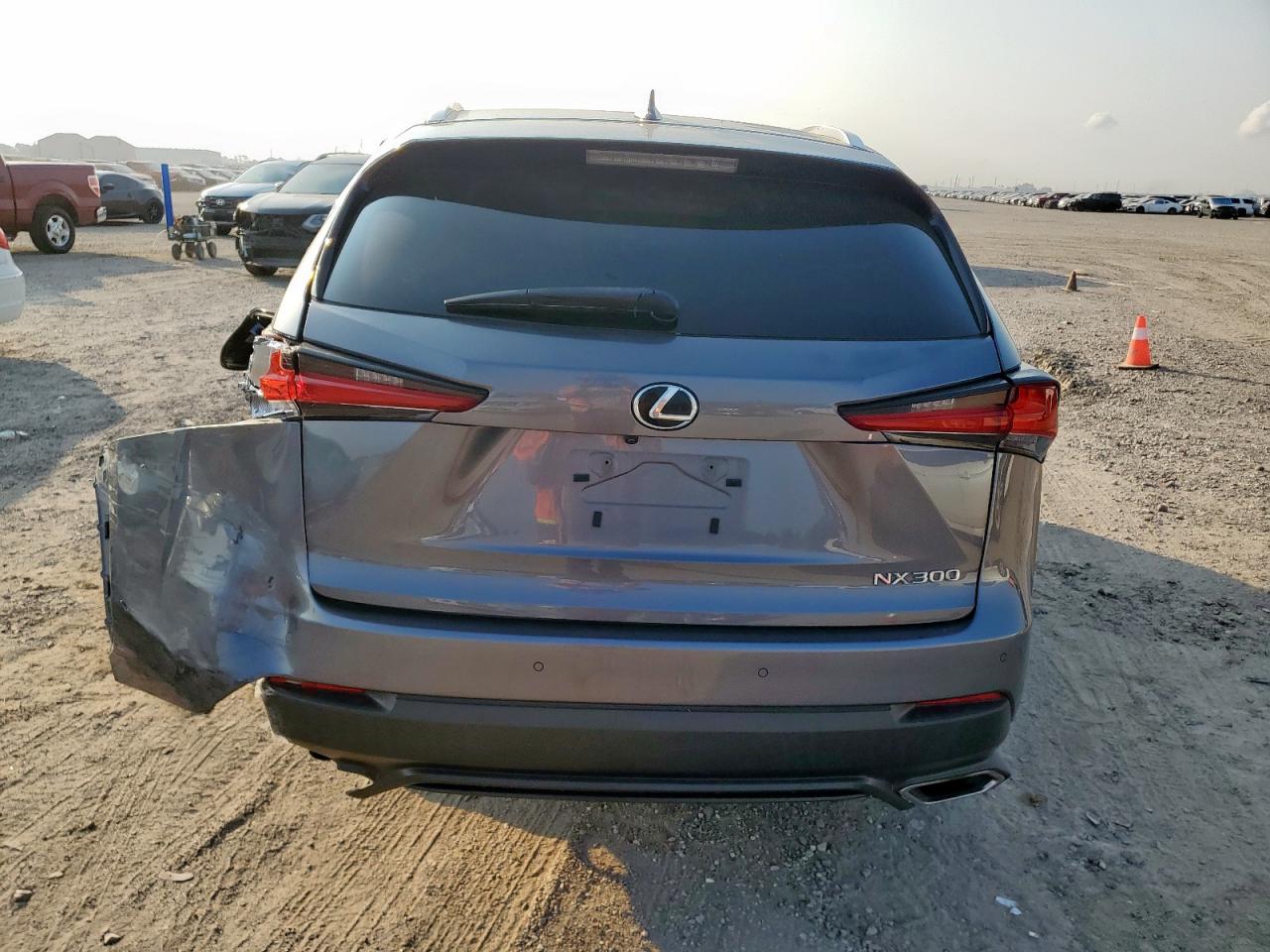 2020 Lexus Nx 300 VIN: JTJGARBZ5L2162921 Lot: 80704125