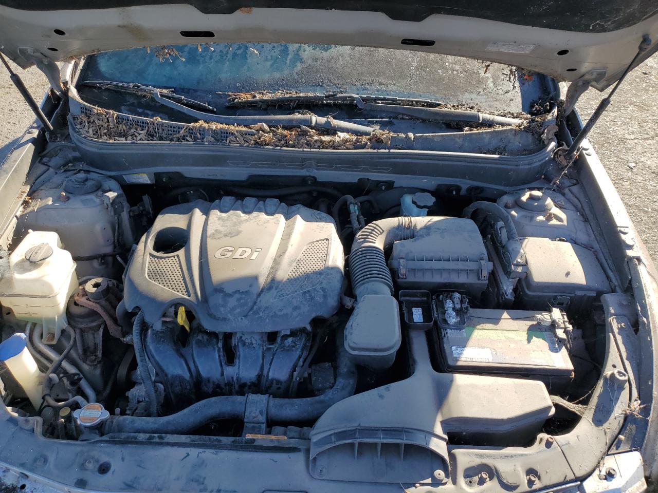 2011 Hyundai Sonata Gls VIN: 5NPEB4AC3BH082506 Lot: 80812705