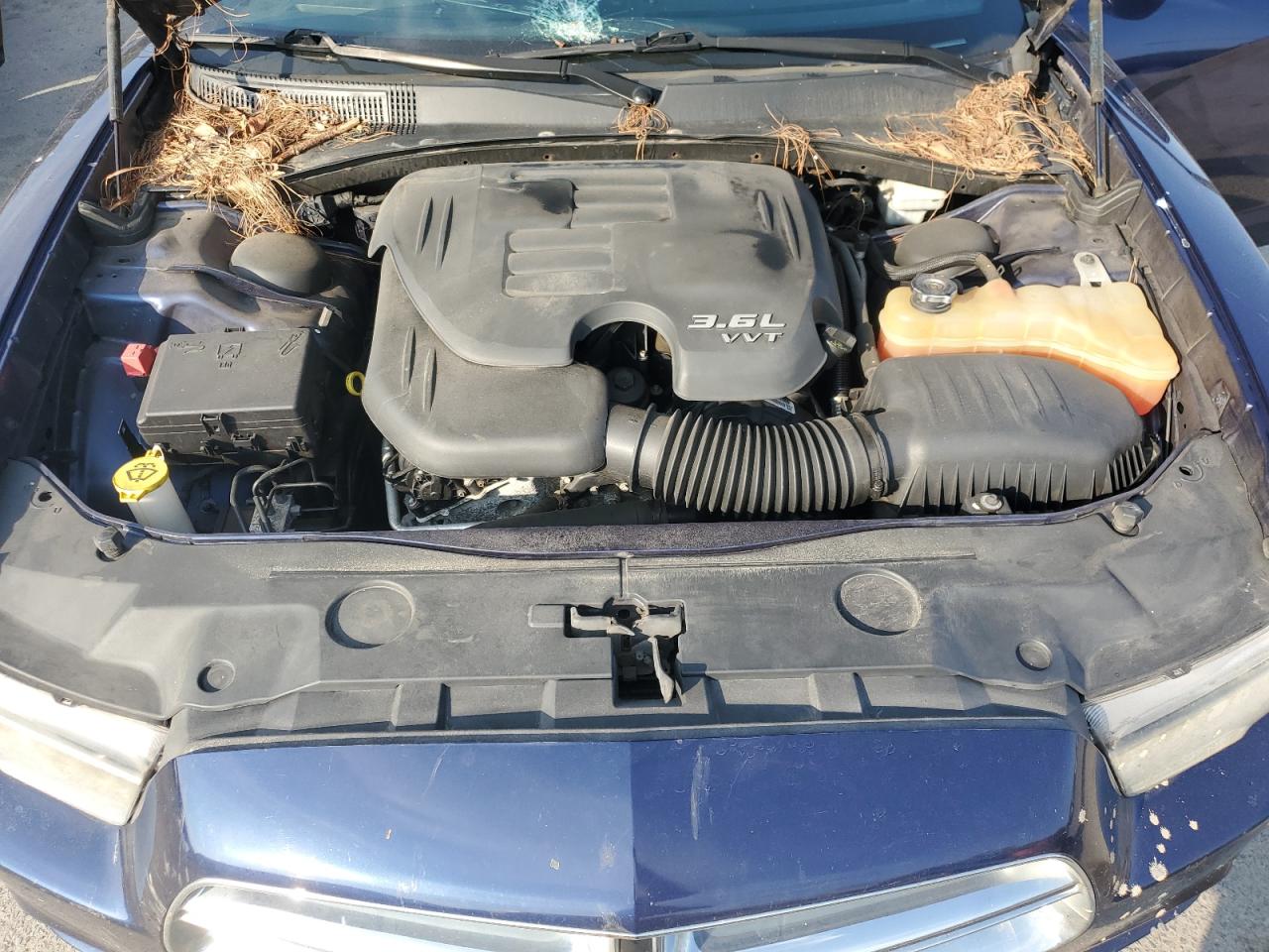 2013 Dodge Charger Se VIN: 2C3CDXBG1DH624559 Lot: 82118705